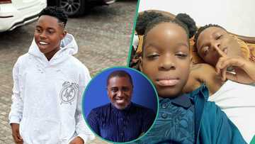 Drama as Peller begs Frank Edoho to call Wizkid, says he wants to be Bolu's nanny, sparks comments