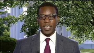 Meet Toluse Olorunnipa, 1st Nigerian-reporter to cover White House
