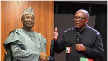 2023 elections: INEC likes post criticising Peter Obi's candidacy? Commision opens up