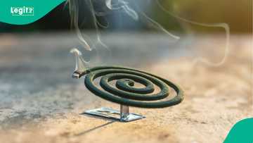 'A yi hattara': Yadda maganin sauro ya kashe miji da mata da ƴaƴansu 2 a Kano