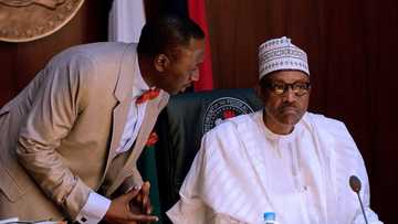 Ba za ta sabu ba, ba zamu yi hayar mayaka daga kasashen waje ba, Gwamnatin Buhari