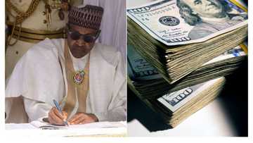 Nigeria $149.32 billion: Top African countries with savings in US dollars