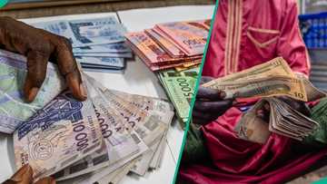 Naira, 3 other African currencies tipped to extend gains against US dollar