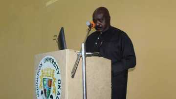 Former Edo governor, Lucky Igbinedion loses mother at 85