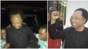 Yanzu-yanzu: Bayan makonni 4 a tsare, an saki Sanata Shehu Sani (Hotuna)