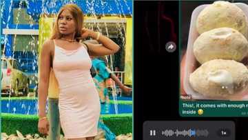 "I only asked him for 3 milky doughnuts": Lady leaks hot voice note from lover after making request