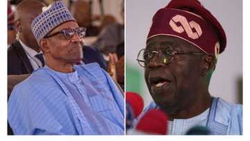 National debt: Each Nigerian owes N217,136 under Buhari as Tinubu takes office