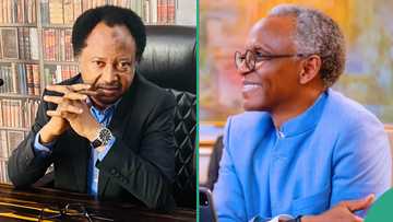 “El-Rufai is angry, frustrated,” Shehu Sani taunts ex-Kaduna governor, video trends