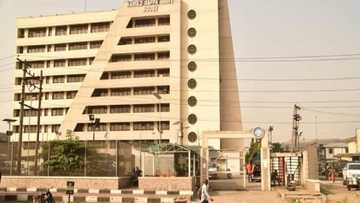 Niger Delta: Kungiyoyi 13 na 'yan tada kayar baya za su koma 'ruwa'