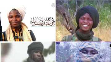 Tsohon Daraktan DSS: Da yawan 'yan bindiga tsofaffin 'yan Boko Haram ne