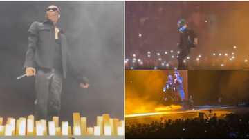 Day 2 of Wizkid's London concert: Singer invites Nigerian colleagues Bella Shmurda, Lojay, others on stage