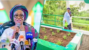 EveryHomeAGarden: Borno farmer emerges winner of Remi Tinubu’s competition, gets N25m prize