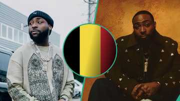 Davido asks for Belgium licence after being dragged for discouraging investors: "Wizkid give am run"