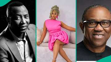 2027 Elections: "Sowore is our only hope": Fans divide as Phyna backs activist, berates Peter Obi