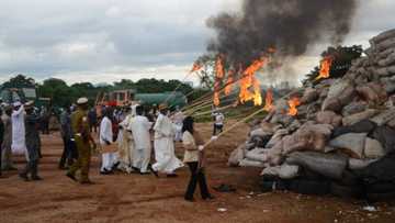 Kano Ta Lalata Jabun Kayayyakin Abinci da Ake Sayarwa Al'umma na Kimanin N1bn