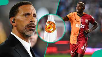 Ex-Man United star blasts club for passing on the opportunity to sign Osimhen