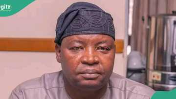 Adamawa prohibits posters on public buildings, sets legal penalties