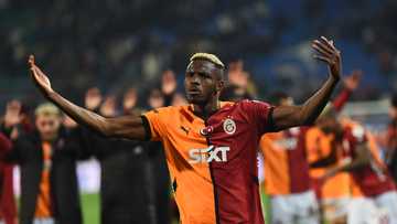 Fan maps strategy how Victor Osimhen could become Edo state governor after football career: "Contender ke"