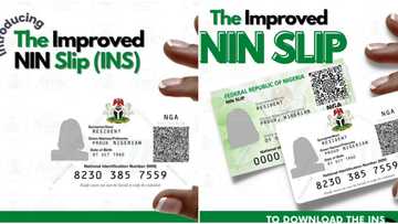 Explainer: Step-by-step guide on how to download and print improved NIN slip