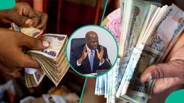 CBN report: Nigerian banks’ cash liquidity surges to N5.53 trillion in one month