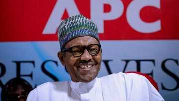 Buhari ya cika da farin ciki yayinda aka saki daliban makarantar Kagara