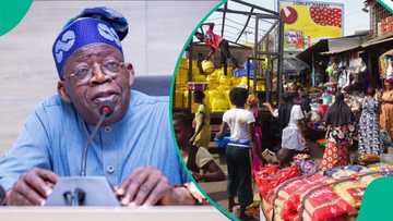 Tinubu orders rice distribution to Kaduna, Enugu, Oyo, other states for Ramadan and Lent