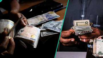 N1,338: CBN releases new exchange rates as naira gains against dollar