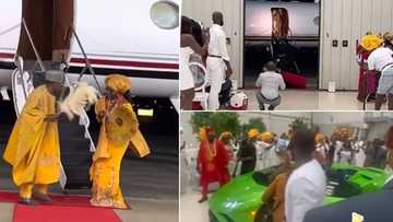 "Money too sweet": Nigerian couple make grand arrival to their wedding in private jet and lamborghini