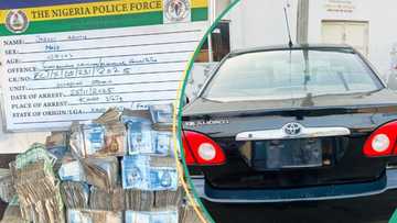 Police arrest notorious car snatchers, recover 6 stolen vehicles, ₦15 million cash
