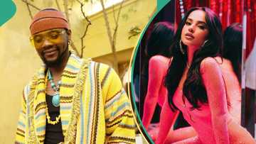 "Giving Selena and Rema vibes": Snippet of Kizz Daniel's Odo remix with American singer Becky G stirs reactions