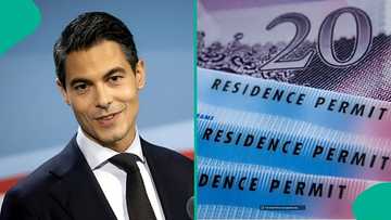 Netherlands publishes 4 things foreigners must do after getting first residence permit