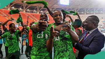 Disclosed: Super Eagles to get N9 billion for AFCON win