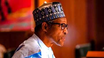 Buhari ya sanar da dalilin hana shigo da kayan abinci kasar nan