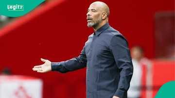 Eric Chelle sends message to Nigerians after Super Eagles lost 3-0 to Guinea-Bissau