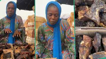 "I export to the UK": Lady selling smoked fish impresses TikTok users with superb marketing skills