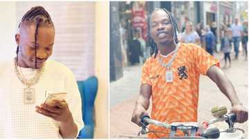 Naira Marley fraud case: Several credit card numbers were extracted from rapper’s phone - EFCC witness