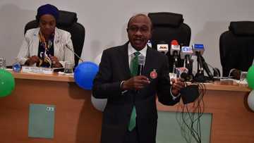 CBN Governor Emefiele finally speaks as group buys APC presidential forms for him, reveals next step