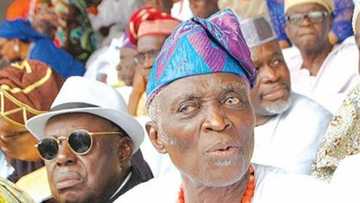 2023: Scrapping zoning will have grave consequences for Nigeria - Yoruba elder