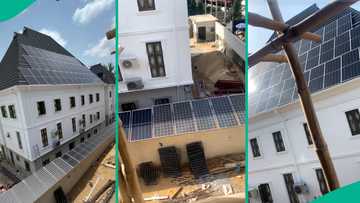 Man installs solar panels on mansion's roof and fence for 24/7 electricity, setup gets attention