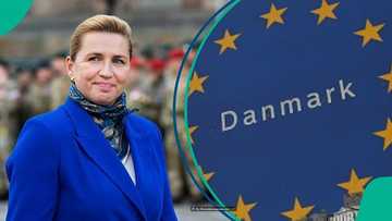 Denmark mentions minimum salary foreigners need to qualify for Pay Limit Scheme