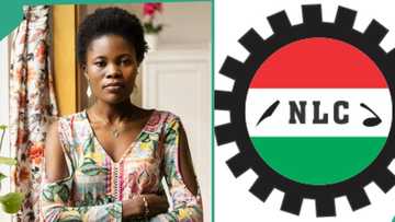 NLC/TUC strike: Lady breaks silence as national grid is shut and flights cancelled over minimum wage