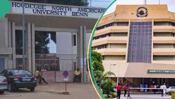 Fake certificate: List of universities in Benin, Togo affected by suspension of degree accreditation