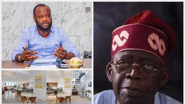 Aranda: What you need to know about company Seyi Tinubu allegedly used to buy N5.06bn London mansion