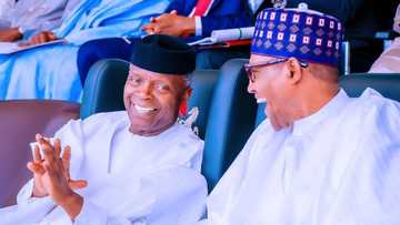 Kwanaki 7 da Mika Mulki, An Fara Maganar Binciken Gwamnatin Muhammadu Buhari