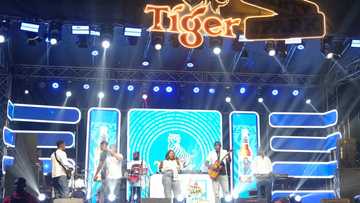Tiger Beer Sponsors Party in the Park, Powering a Bold Celebration of Youth and Self-Expression