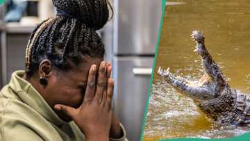 Tragedy as crocodiles devour prophet during baptism