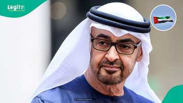 UAE announces amount foreigners must earn monthly to sponsor relatives for visit visa