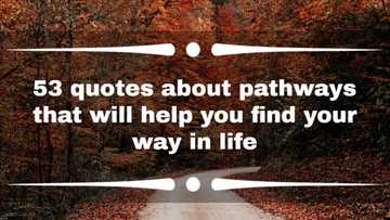 53 quotes about pathways that will help you find your way in life