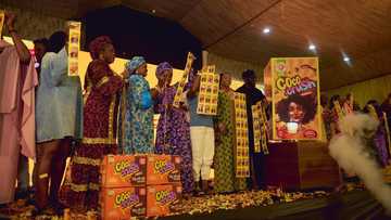 Golden Penny launched Its Food Drink Brand: Coco Crush Steps into the Spotlight at Its Trade Launch