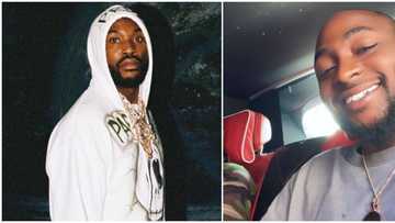 He means a painter, fans tell Davido as he shoots shot after rapper Meek Mill launched search for Nigerian artists